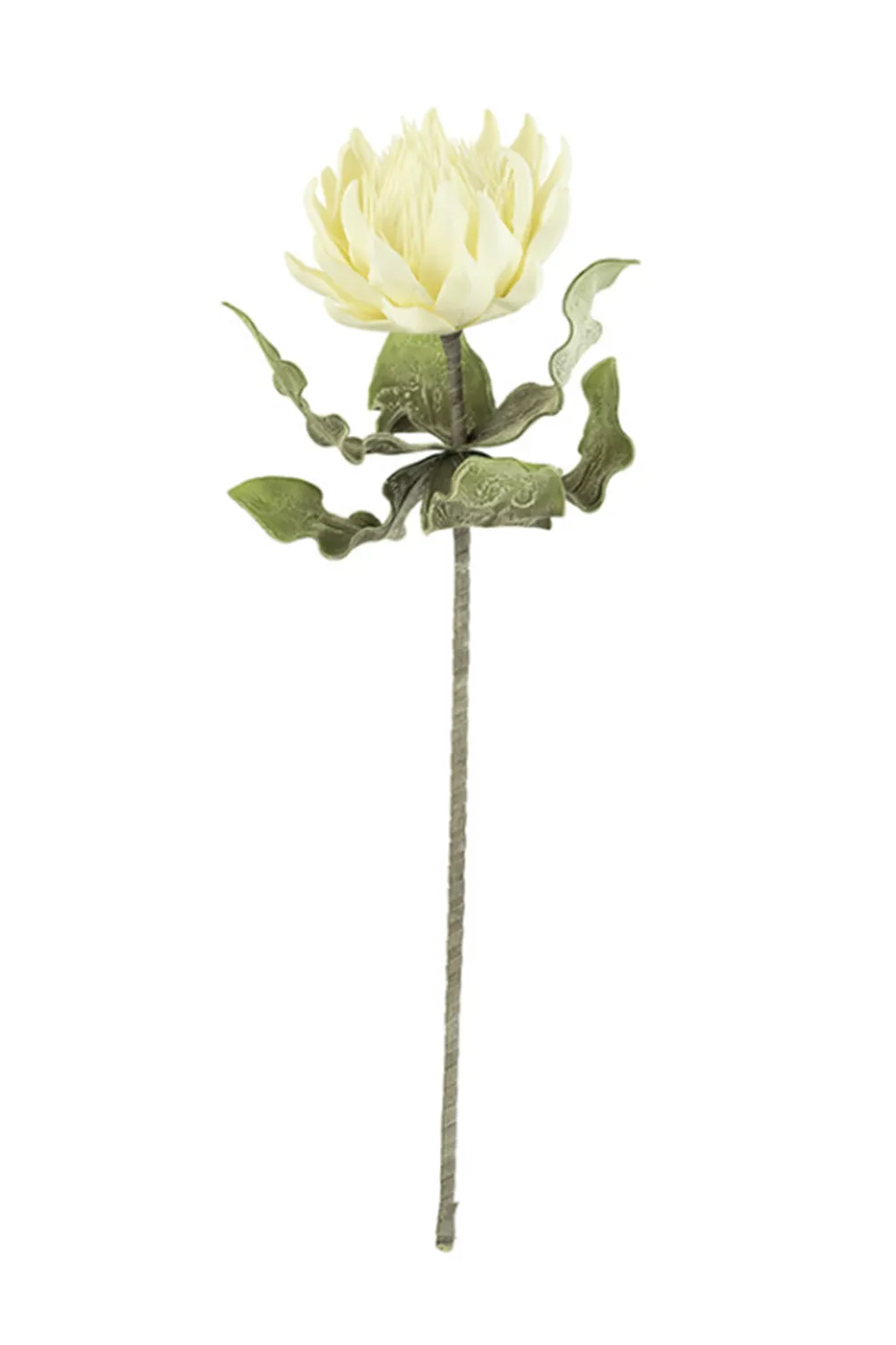 Botanical Beauty Floral Stem 2496