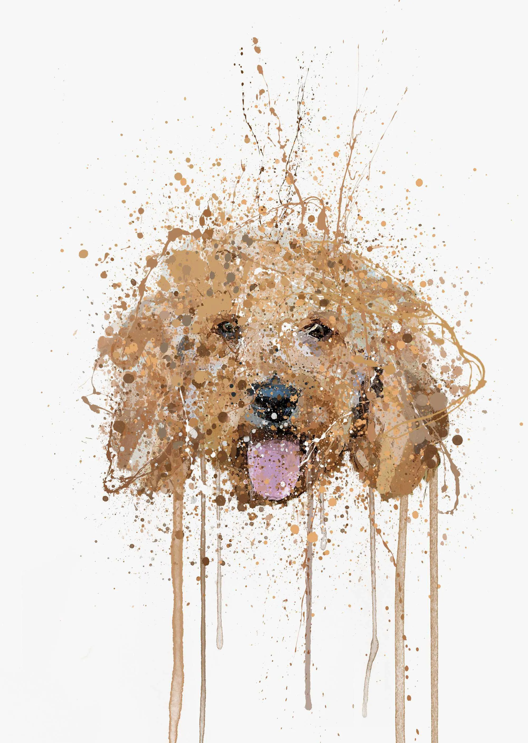 Cockapoo Wall Art Print