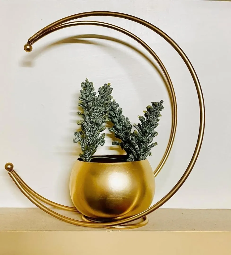 Dream Deco Metal Geometric Design Vase with Gold Finish - Designer Moon Shape Vase Gold Metal Moon Shape Flower Pot, Table Decorative Flower Pot (Size 24 x 24cm)