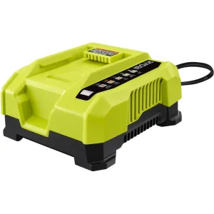 Open Box - RYOBI 40V Lithium-Ion Rapid Charger