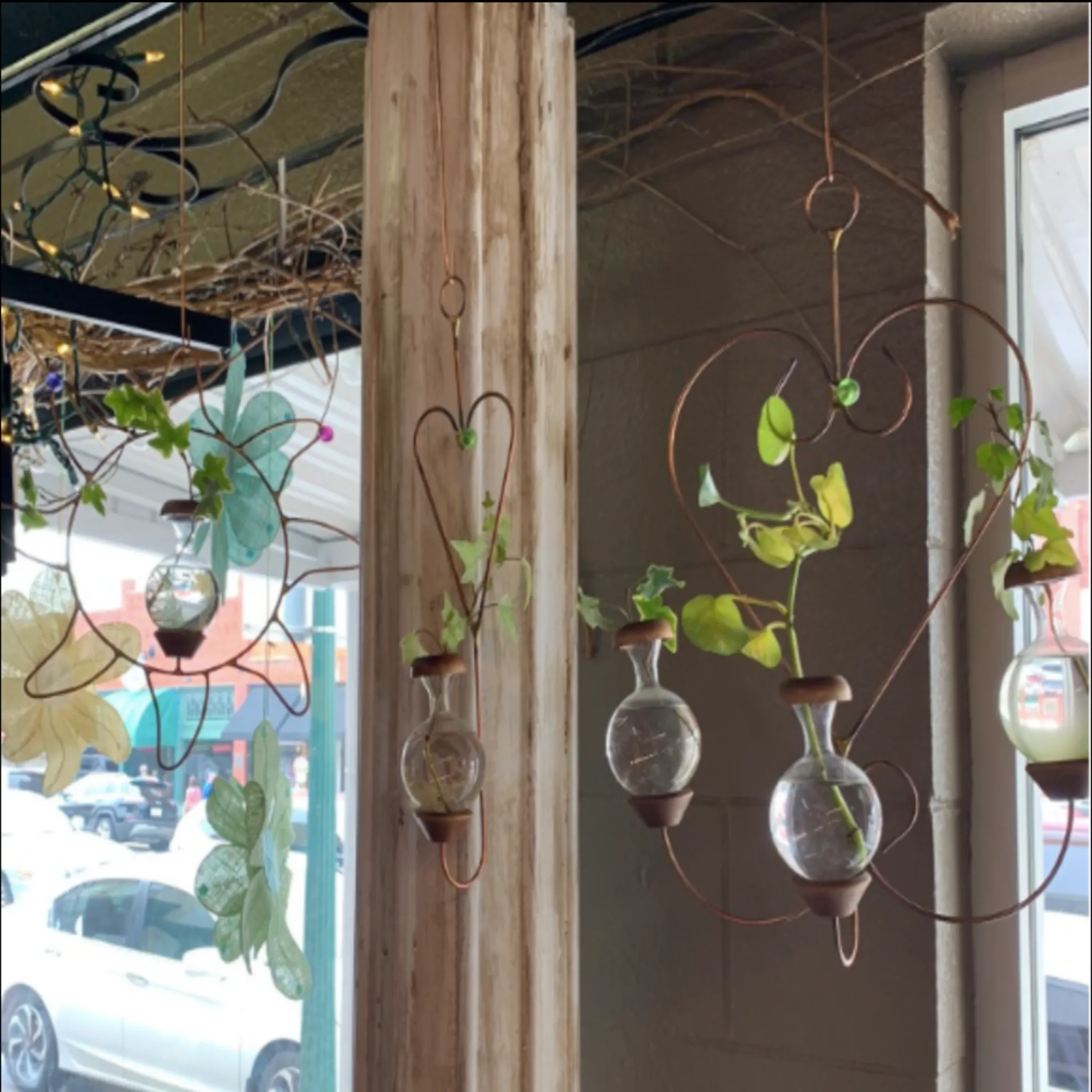 Plant Rooter