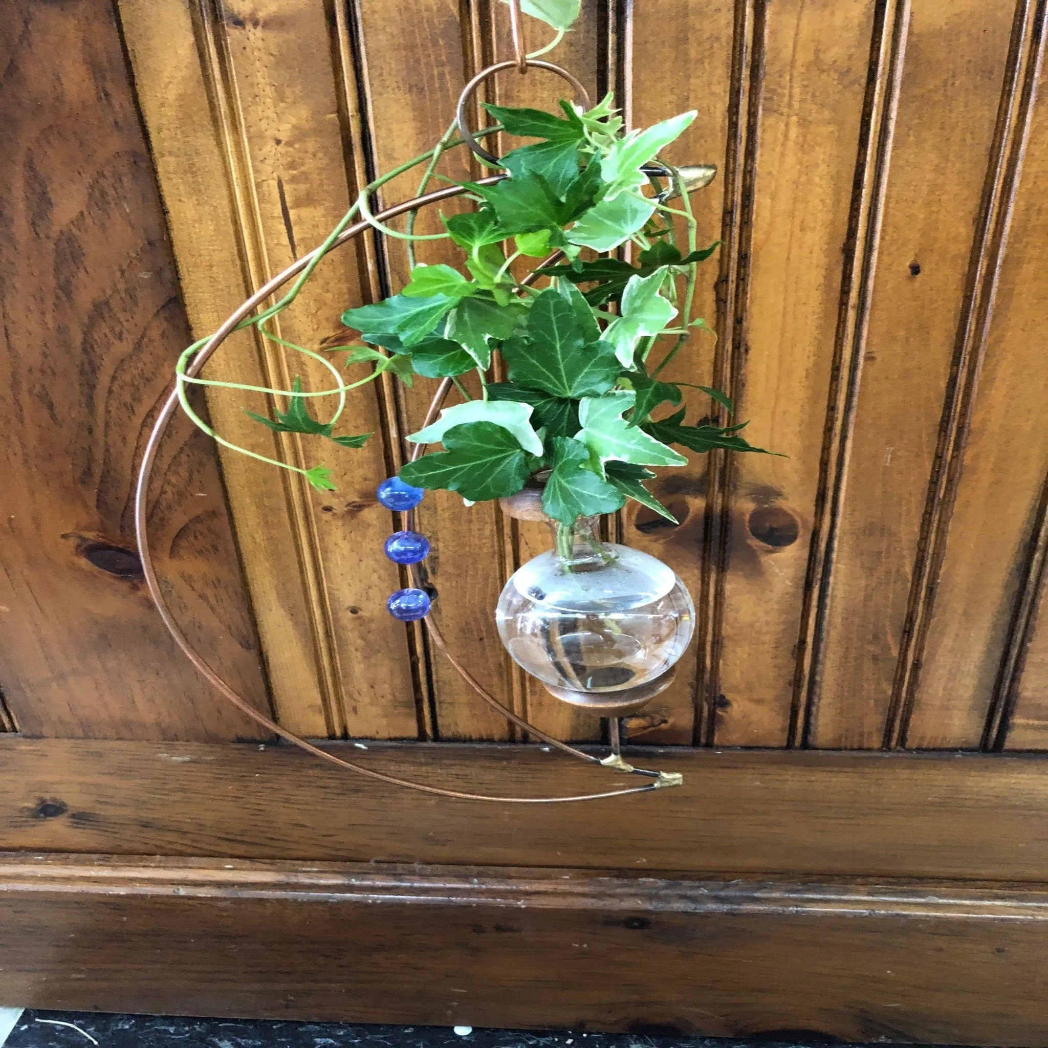 Plant Rooter