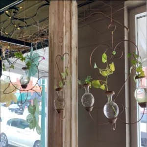 Plant Rooter
