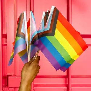 Progress Pride Stick Flag