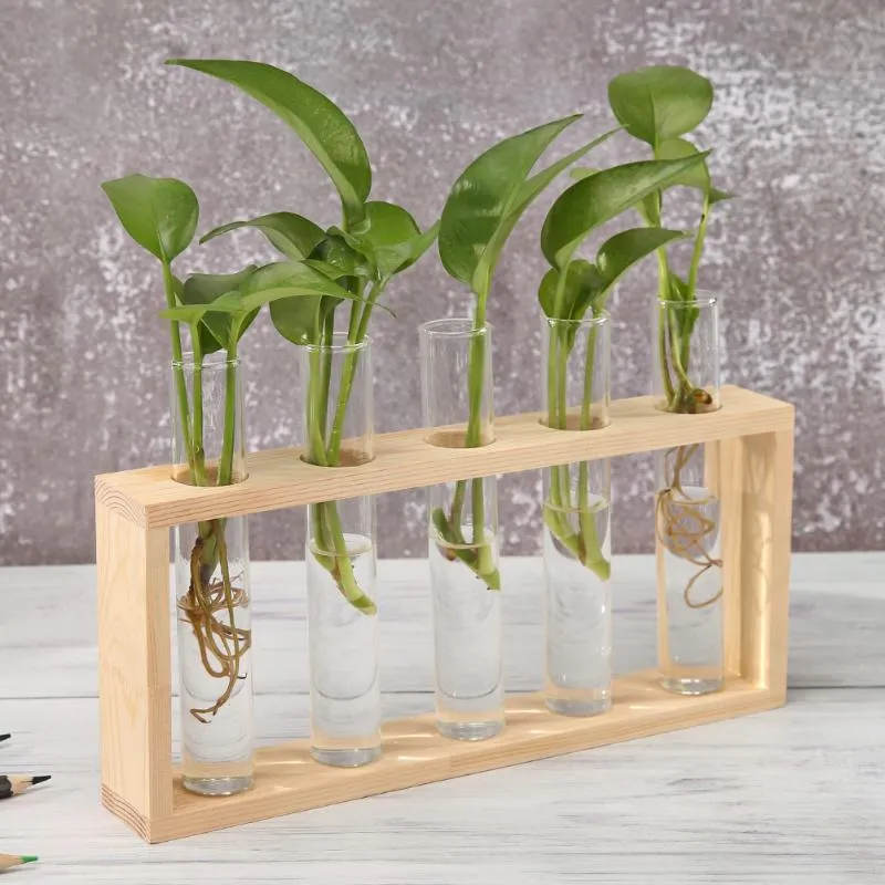 Propagation station with 5 tubes