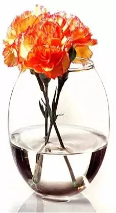 Rishabh Home Decoration Dholak Shaped Decorative Glass Vase for Living Room Table and Home Décor Gift Item 8 Inch Flower Pot Decorative Glass Vase (White) (8 inchi)