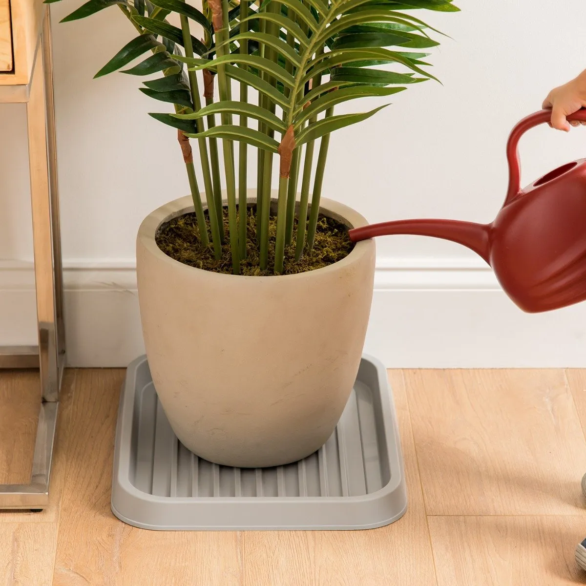 Shoe Tray - Small