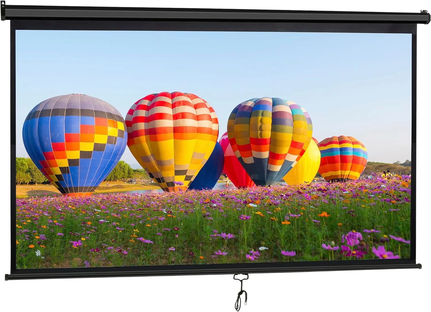 ZENY™ 80'' 16:9 HD Projection Screen Foldable Anti-Crease Portable Projector Movie Screen Manual Pull Down for Home Theater Presentation Education Outdoor Indoor Public Display