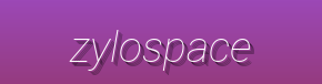 ZyloSpace - Trendy Decorative Pieces, Creative Gadgets & Functional Home Decor
